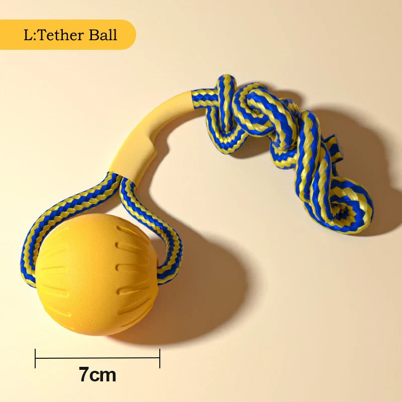 4-Piece Durable Dog Toy Set