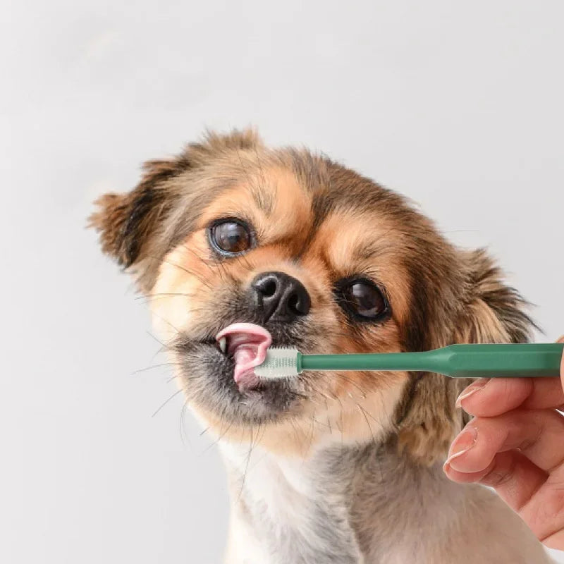 Soft Bristle Cat Toothbrush for Dental Care - view 2