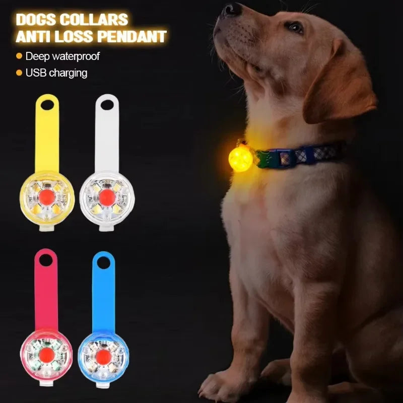 Weatherproof USB Rechargeable LED Dog Collar - view 4