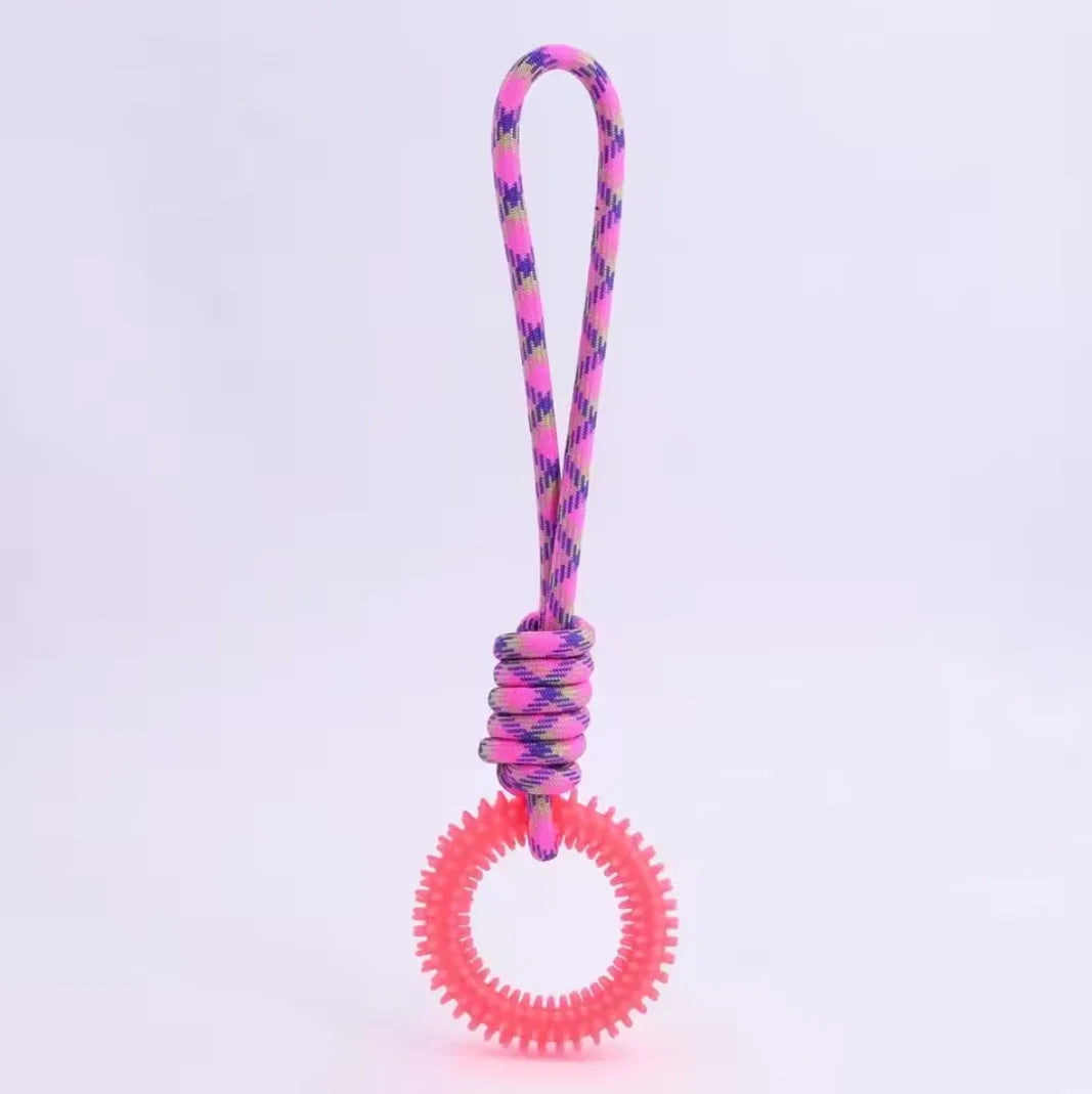 Spiked Ring Interactive Dog Training Toy