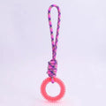 Spiked Ring Interactive Dog Training Toy