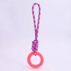 Spiked Ring Interactive Dog Training Toy