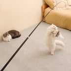 Telescopic Feather Wand Cat Toy, 1.8m