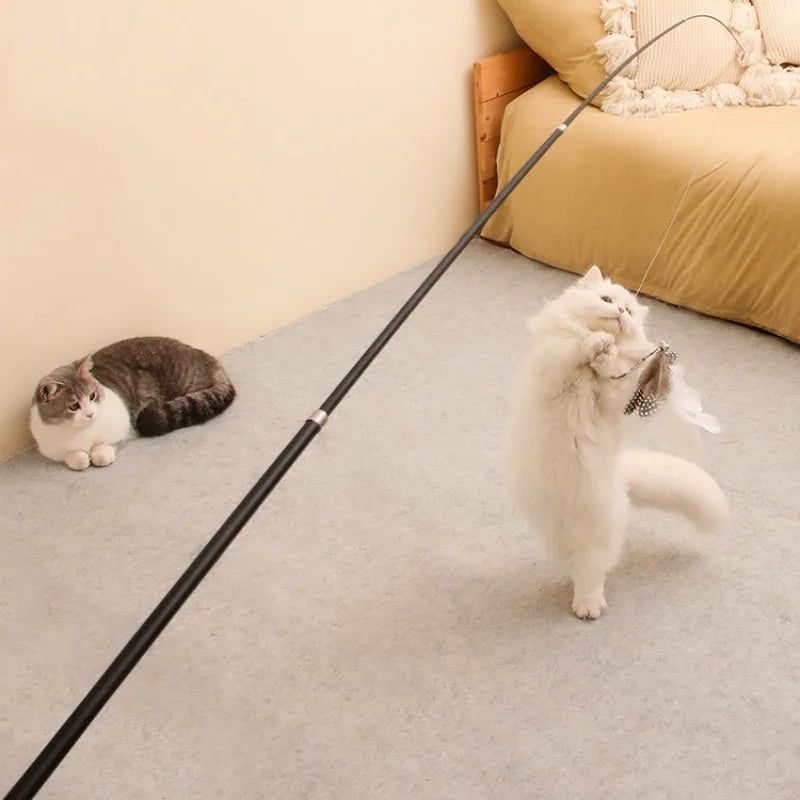 Telescopic Feather Wand Cat Toy, 1.8m