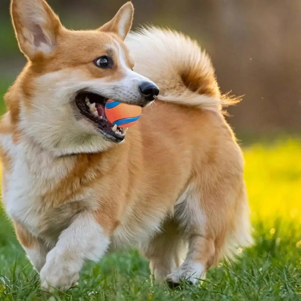 Durable Rubber Fetch Ball for Dogs