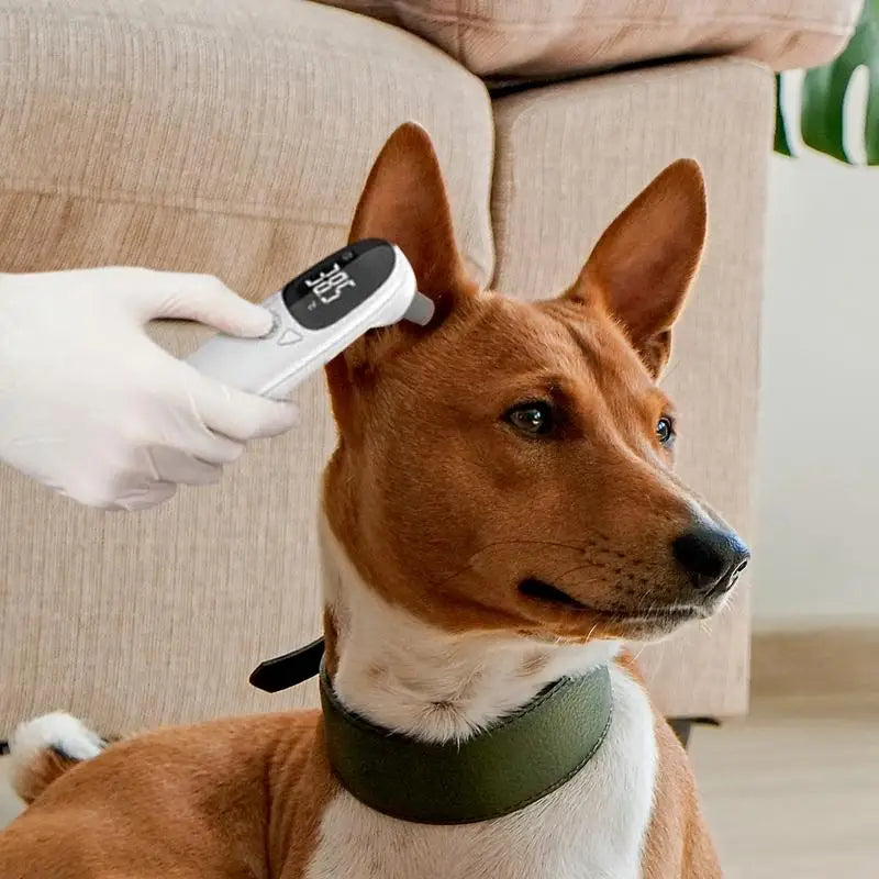 Non-Contact Digital Ear Thermometer for Dogs and Cats - view 3