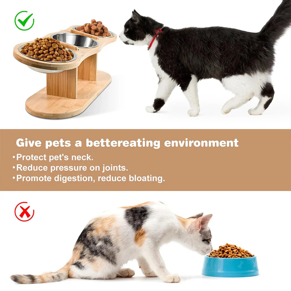 Raised 3-Bowl Cat Feeder with Wood Stand - view 3