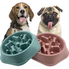 Anti-Choking Slow-Feeder Dog Bowl