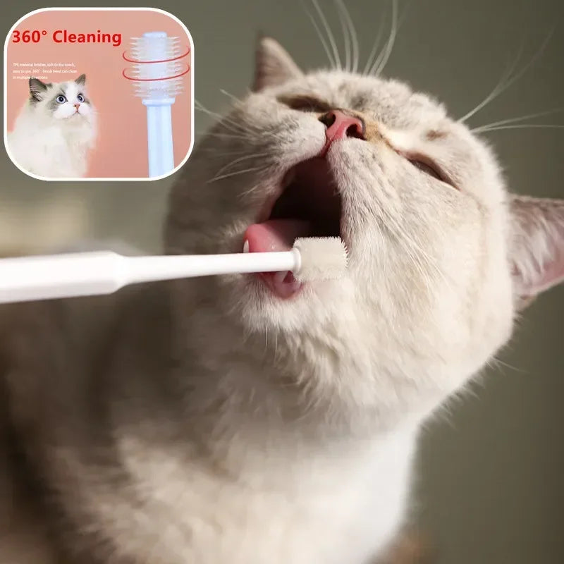 Soft Bristle Cat Toothbrush for Dental Care