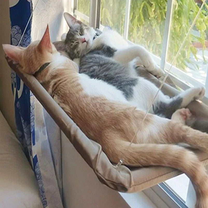 Window Mount Cat Hammock Bed, Holds 20kg - view 2