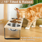 Elevated Tilted Cat Feeding Bowls with Stand