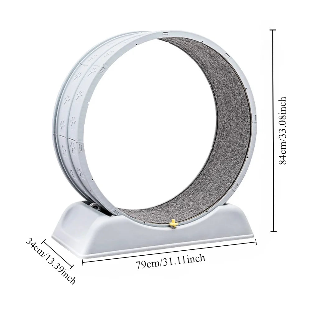 Ultra-Quiet Cat Exercise Wheel Toy with Lock - view 2