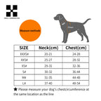 Reflective Adjustable Dog Harness and Leash Set