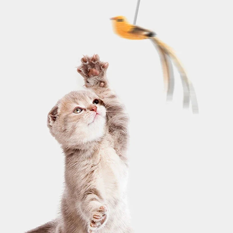 Feather Wand Cat Teaser Toy