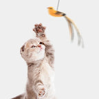 Feather Wand Cat Teaser Toy
