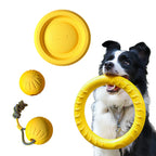 4-Piece Durable Dog Toy Set