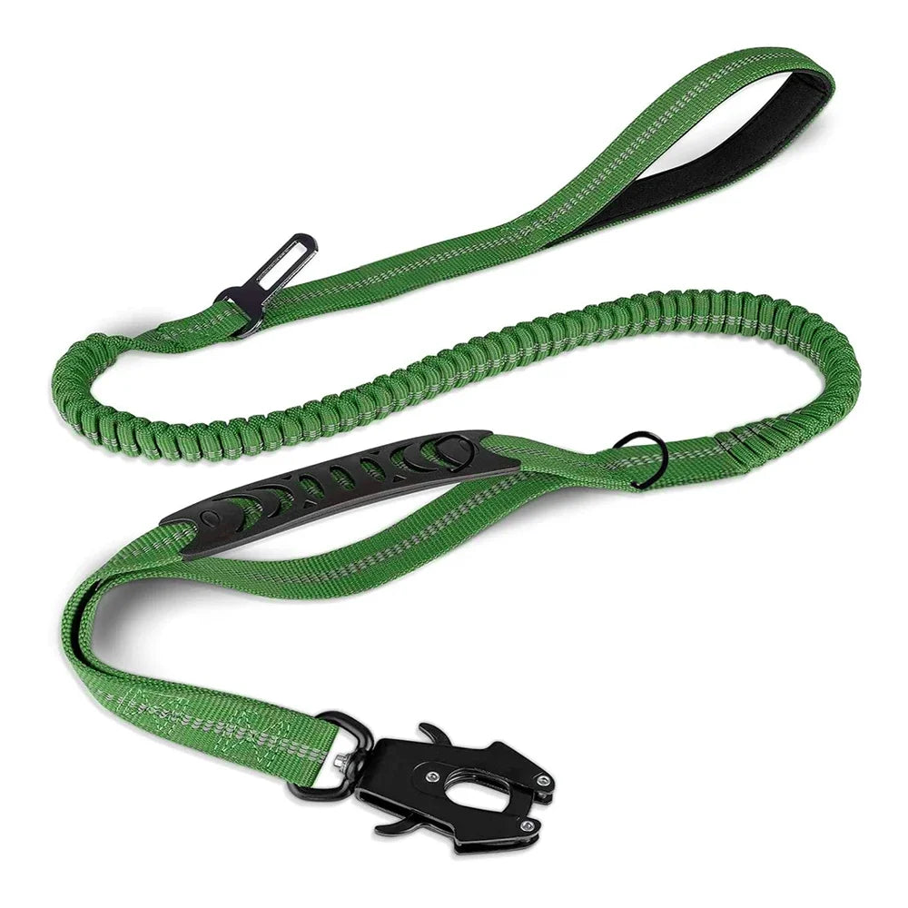 Shock-Absorbing Bungee Dog Leash with Car Seatbelt