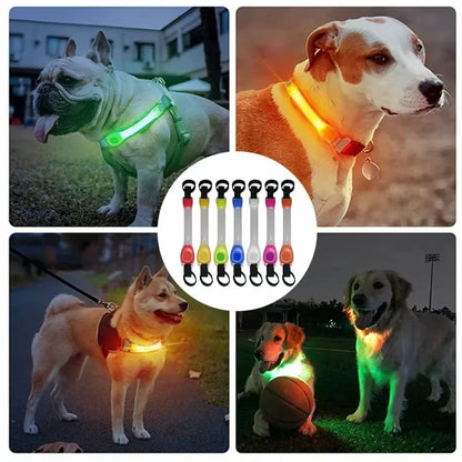 Night running pet dog safety harness collar for preventing loss. Multi-color pendant. Waterproof outdoor warning LED flashing li