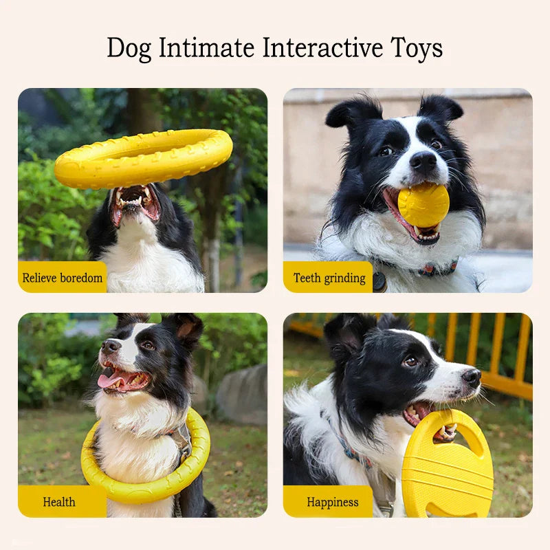 4-Piece Durable Dog Toy Set
