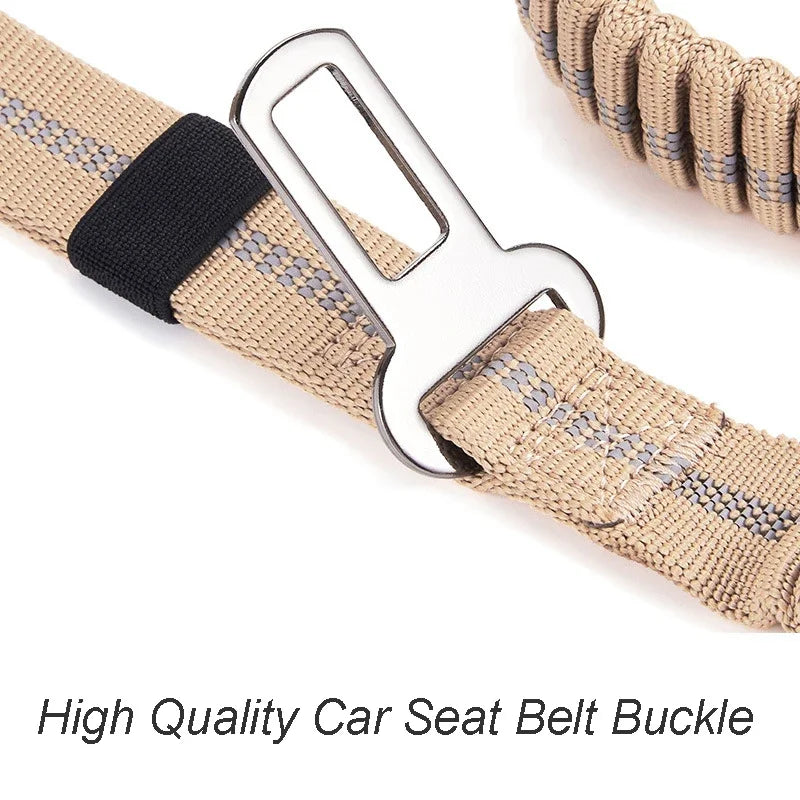 Shock-Absorbing Bungee Dog Leash with Car Seatbelt
