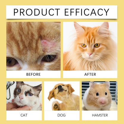 YEGBONG 50ml Pet Skin Care Spray Gentle Formula Soothing Discomfort Relief Vet Recommended for Dogs Cats All Breeds Daily Use