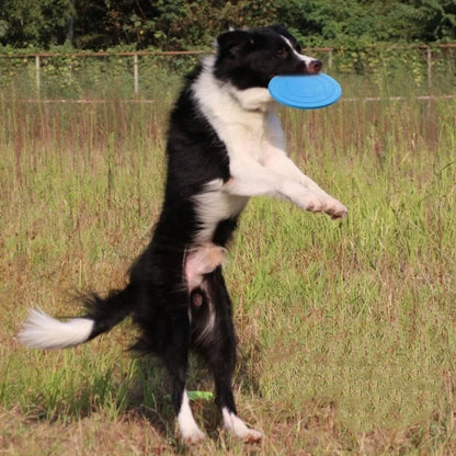 Silicone Flying Saucer Funny Dog Cat Toy Dog Game Flying Discs Resistant Chew Puppy Training Interactive Pet Supplies
