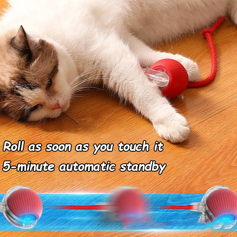 Rechargeable Rolling Ball Cat Toy with Faux Tail - view 4