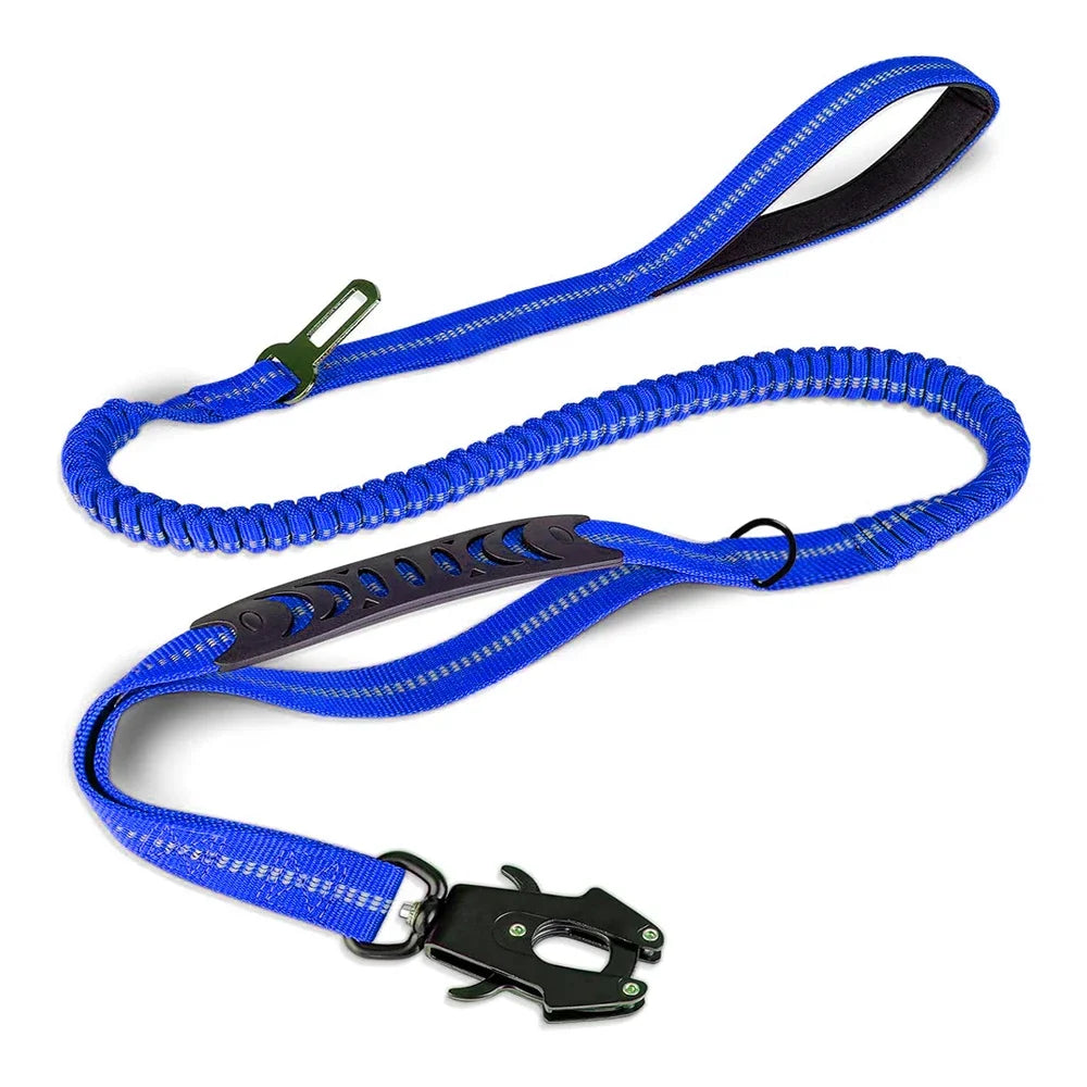 Shock-Absorbing Bungee Dog Leash with Car Seatbelt
