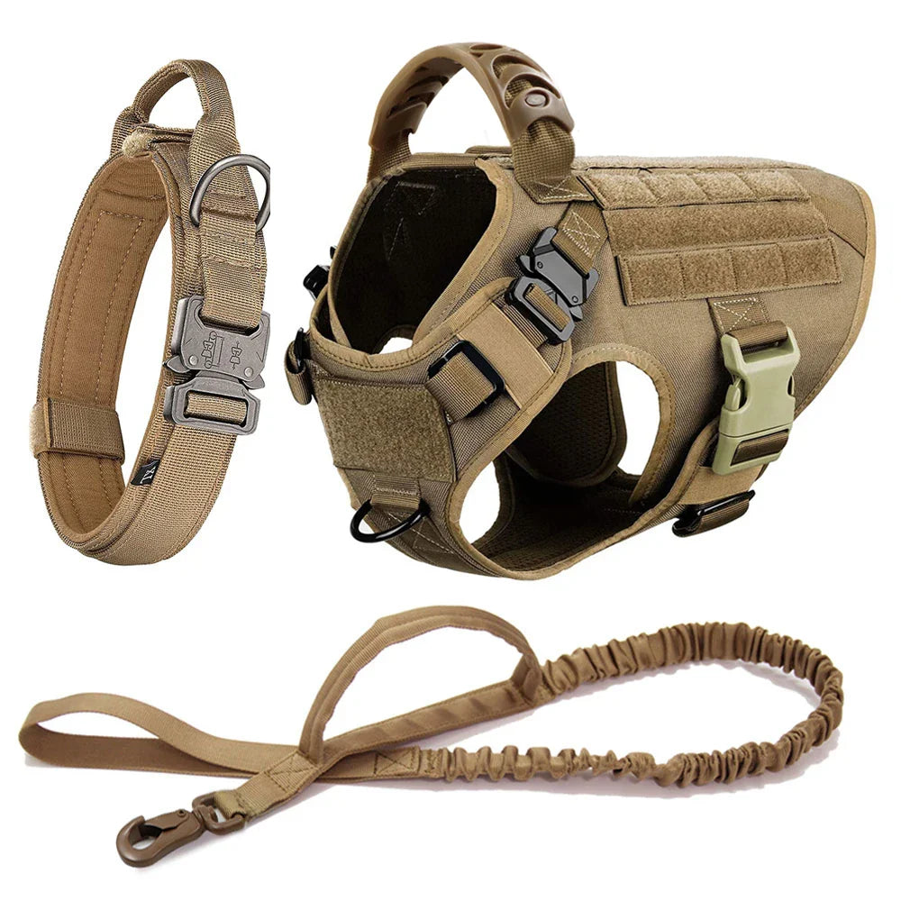 Training Vest Harness and Leash Set for Large Dogs