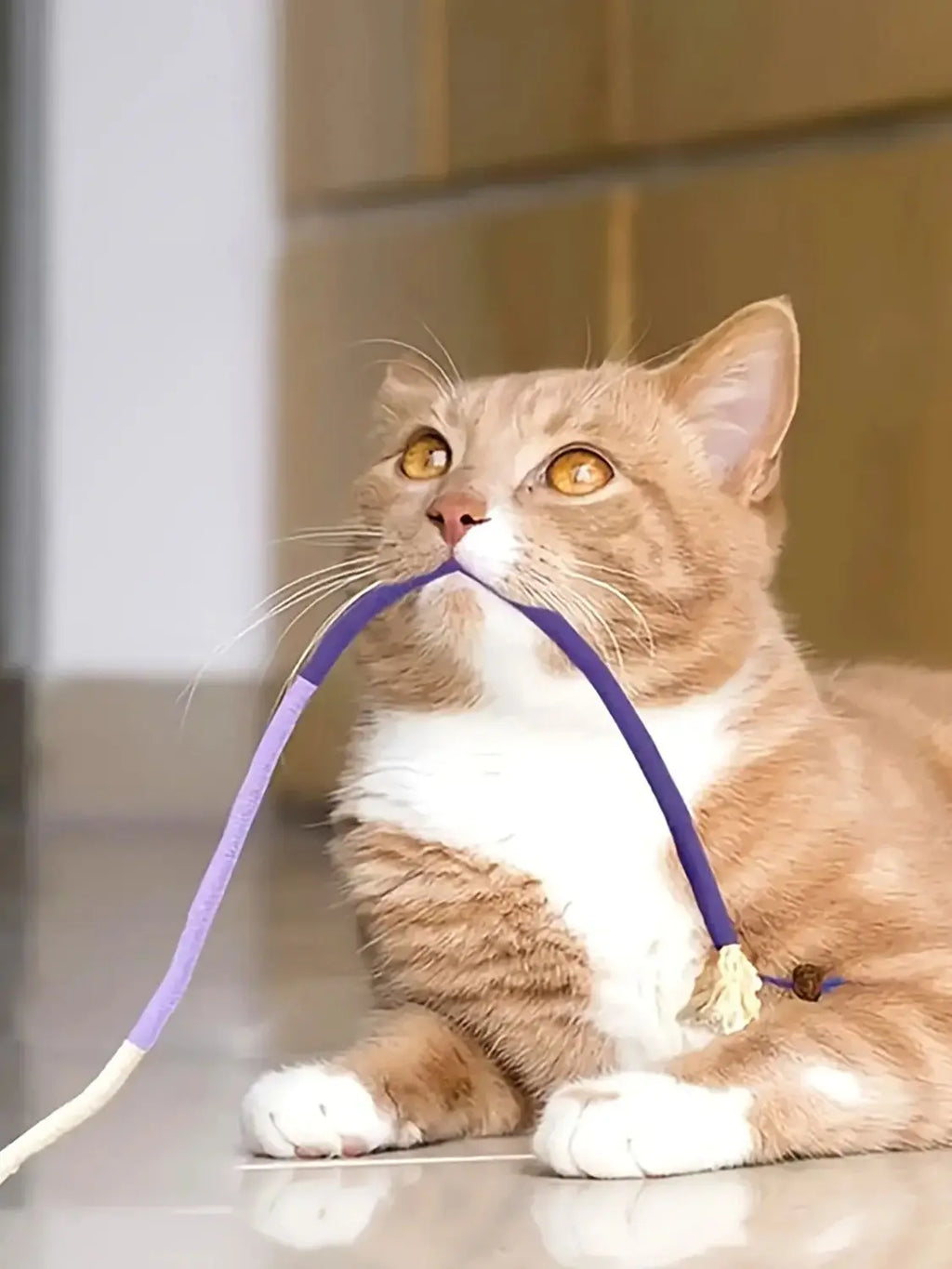 Sisal Bite Rope Cat Toy