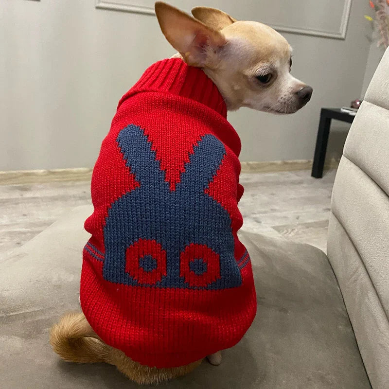 Knitted Winter Sweater for Small and Medium Dogs - view 2