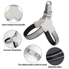 Adjustable Reflective Dog Harness for Hiking