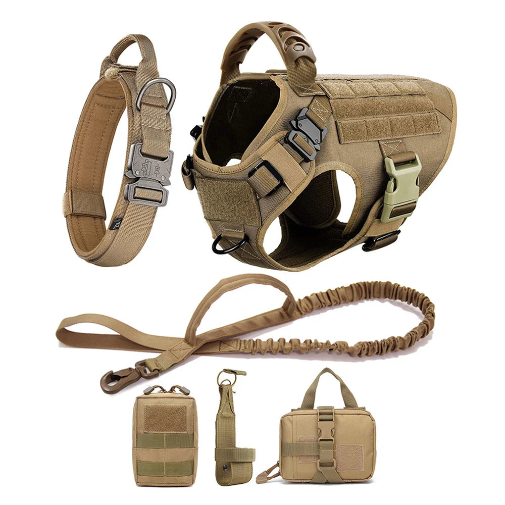 Training Vest Harness and Leash Set for Large Dogs