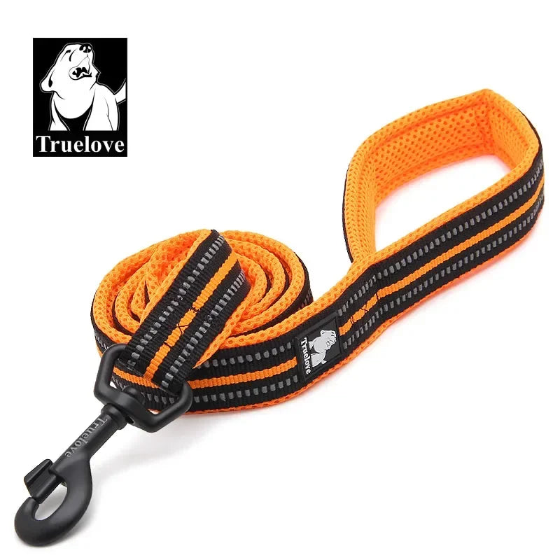 Truelove Padded Reflective Pet Leash