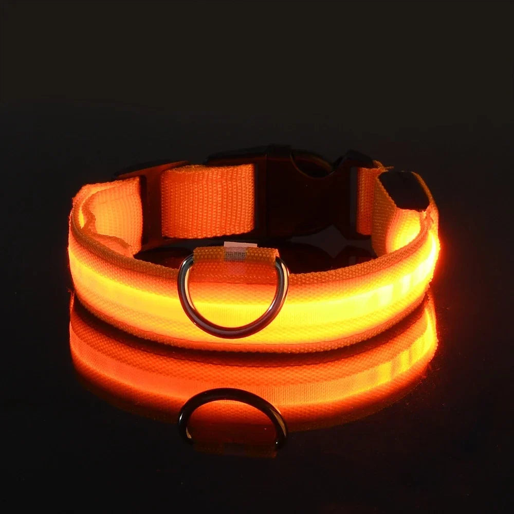 Glow-in-the-Dark LED Dog Leash - view 11