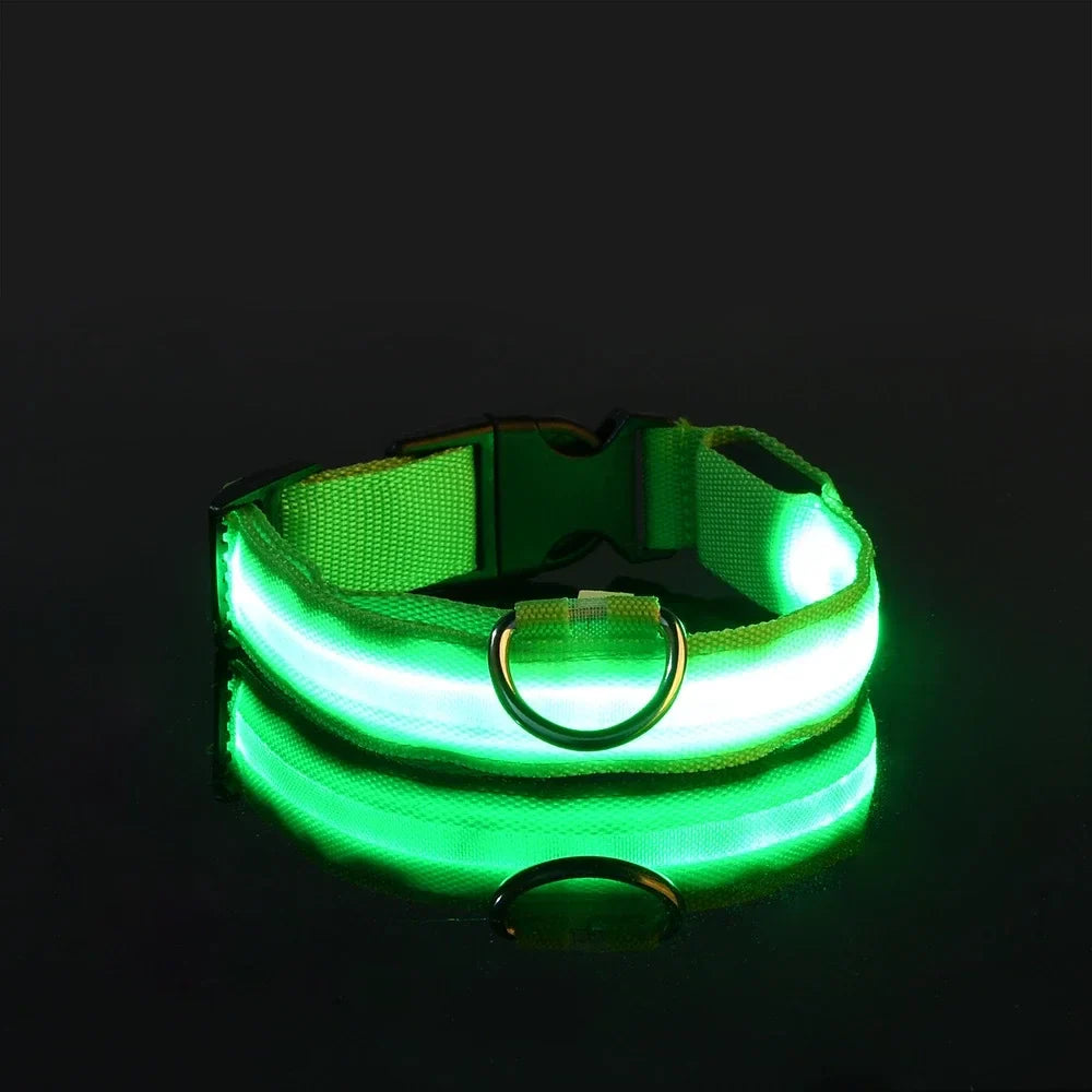 Glow-in-the-Dark LED Dog Leash - view 13