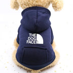 Denim Pocket Sweater for Dogs and Cats - view 3