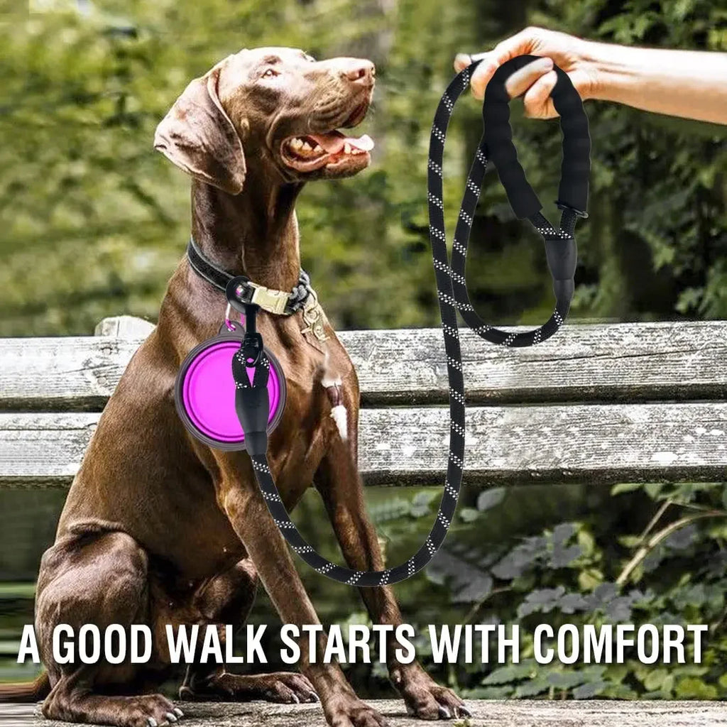 Reflective Dog Leash, Multiple Sizes