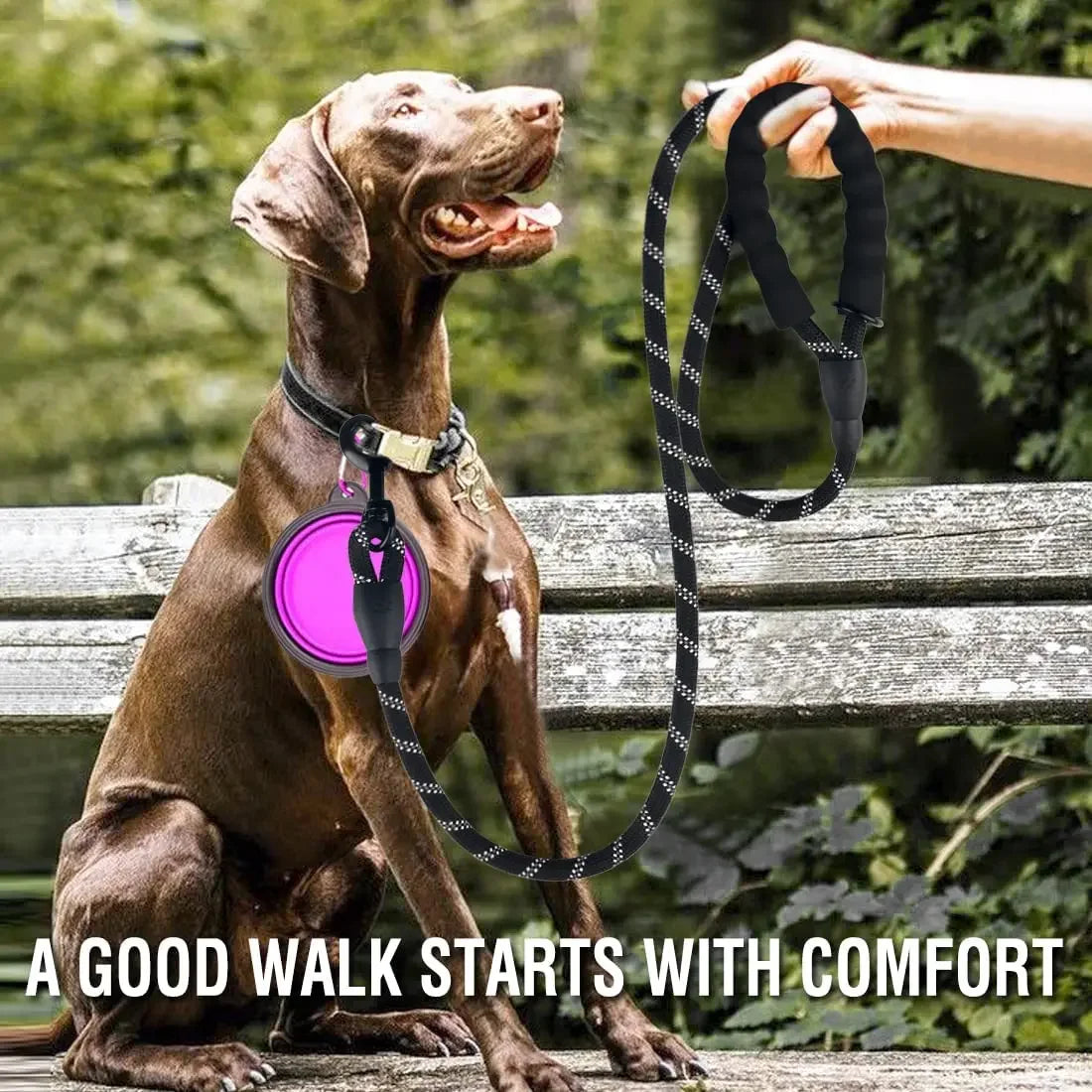 Reflective Dog Leash, Multiple Sizes